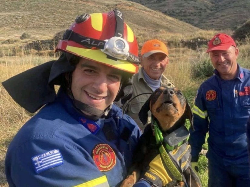 Χίος: Πυροσβέστες διέσωσαν σκυλίτσα από πηγάδι
