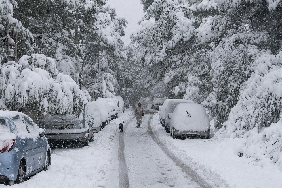 Καιρός: Οργή της Χριστίνας Ρήγου για προβλέψεις με χιόνια στην Αττική