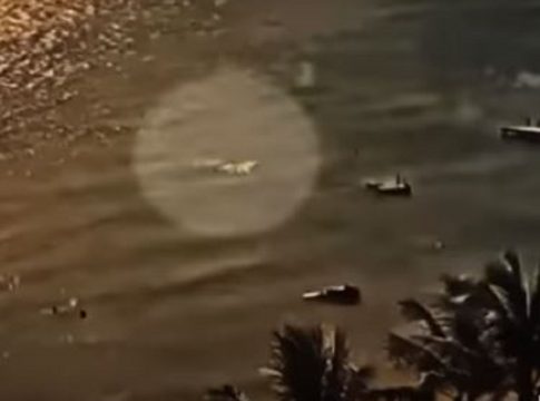 Καρχαρίας κατασπάραξε 59χρονο – Βίντεο σοκ!