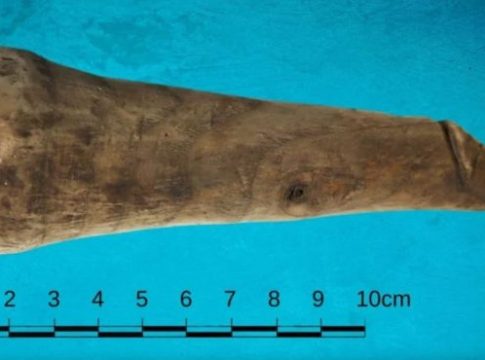 Βρέθηκε ο πιο αρχαίος… δονητής – Ξύλινος και σε φυσικό μέγεθος (pics)