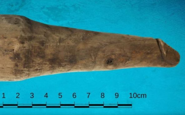 Βρέθηκε ο πιο αρχαίος… δονητής – Ξύλινος και σε φυσικό μέγεθος (pics)
