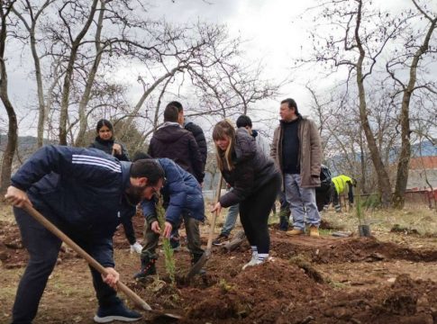 Τέμπη: Φοιτητές από το Καρπενήσι φύτευσαν 57 κυπαρίσσια στην μνήμη των νεκρών