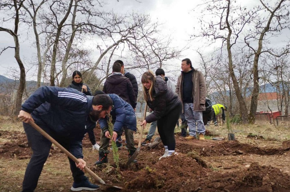 Τέμπη: Φοιτητές από το Καρπενήσι φύτευσαν 57 κυπαρίσσια στην μνήμη των νεκρών