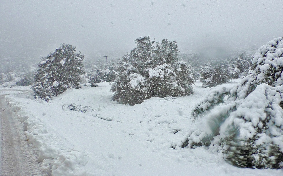 Σάκης Αρναούτογλου: Κυριακή των Βαΐων με χιόνια – «Παραμυθένιες» εικόνες από Κοζάνη και Φλώρινα