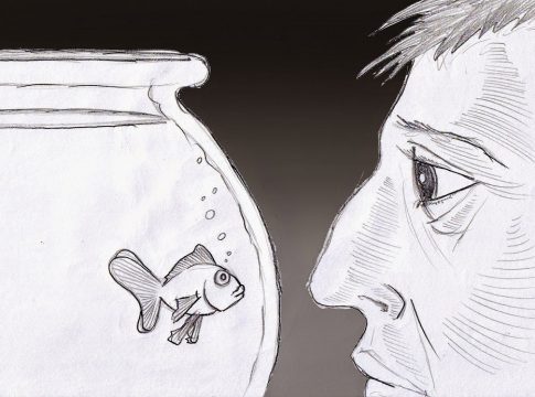 Εκλογές με ιστορική μνήμη… χρυσόψαρου