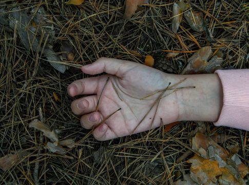 «Ακαριαίος ο θάνατος της 6χρονης στην Ξάνθη» – Τι λέει ιατροδικαστής