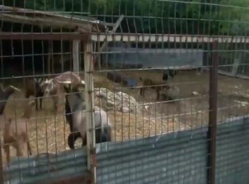 Θάνατος 68χρονης στην Καβάλα: Πού καταλήγουν οι έρευνες των Αρχών – Τι δείχνουν οι κάμερες