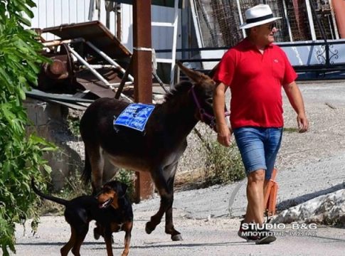Απίστευτο: Πήγε να ψηφίσει με το γαϊδουράκι του (vid)