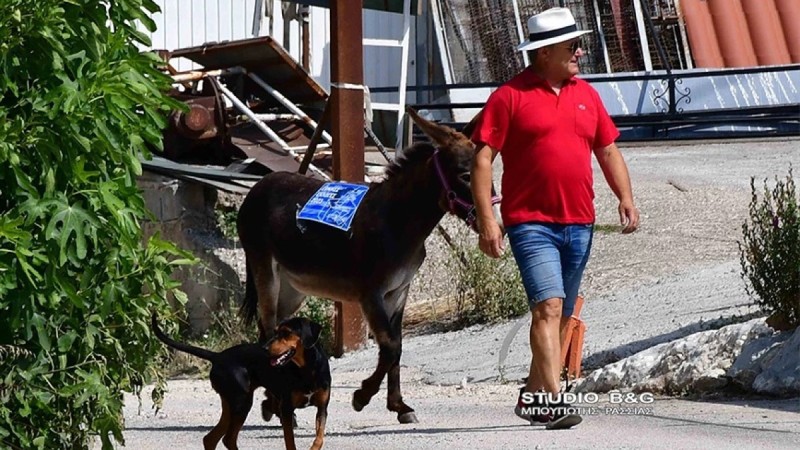 Απίστευτο: Πήγε να ψηφίσει με το γαϊδουράκι του (vid)