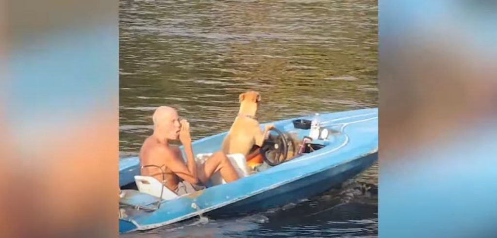 Σκύλος οδηγεί σκάφος και… κάνει βόλτα τον ιδιοκτήτη του στην Φλόριντα