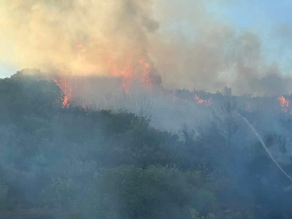 62 δασικές πυρκαγιές το τελευταίο 24ωρο – Οριοθετήθηκε η φωτιά στον Άγιο Γεώργιο Θάσου