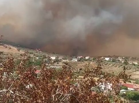 Φωτιά στο Βελεστίνο: Νεκρή γυναίκα στον Πλάτανο Αλμυρού