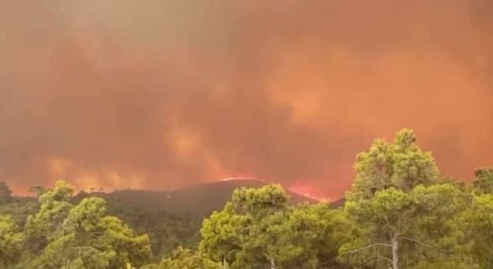 Φωτιά στη Ρόδο: Οκτώ διακομιδές από το ΕΚΑΒ