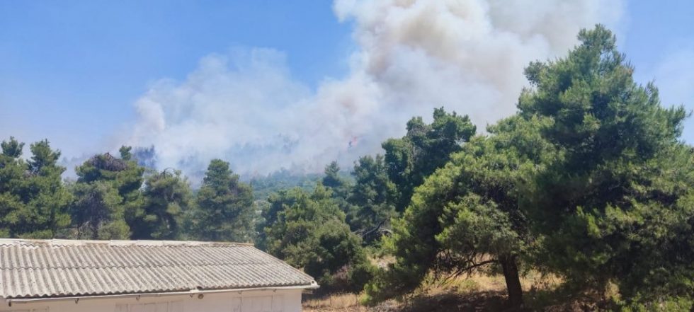 Μαρκόπουλο Ωρωπού: Σε εξέλιξη η μεγάλη φωτιά – «Δεν κινδυνεύουν σπίτια» λέει ο δήμαρχος