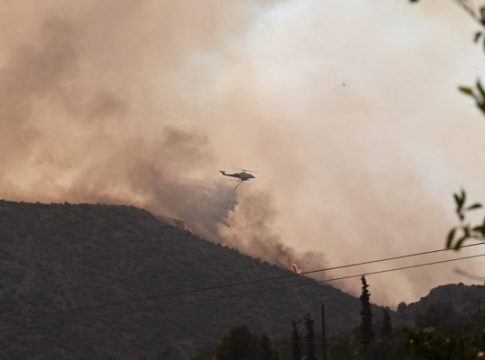 Kράτηση του 65χρονου για απόπειρα εμπρησμού από πρόθεση διέταξε η εισαγγελέας για τη φωτιά στην Ηλεία