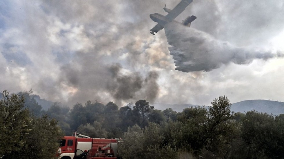 Μαρκόπουλο Ωρωπού: Σε ύφεση η φωτιά περιορίστηκε σε δύσβατο σημείο – Αποκαθίσταται η κυκλοφορία