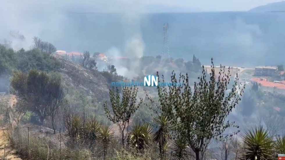 Φωτιά στην Ναύπακτο: Πυρκαγιά σε κατοικημένη περιοχή