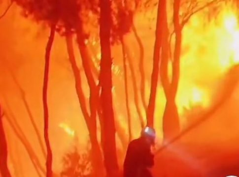 Ρόδος: «Φύγε, δεν κόβεται!» Ο ανατριχιαστικός διάλογος πυροσβεστών για τη φωτιά