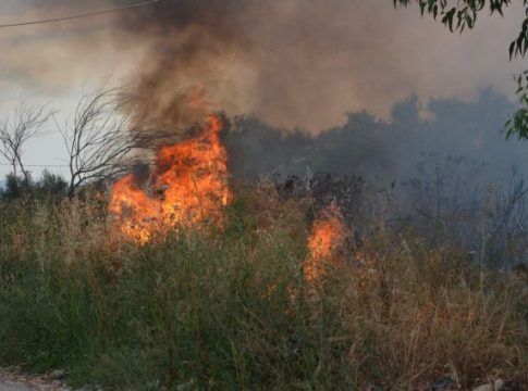 Συναγερμός στην πυροσβεστική – Φωτιές σε Κεφαλονιά και Θάσο