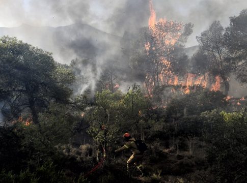 Πολιτική Προστασία: Πολύ υψηλός κίνδυνος πυρκαγιάς το Σάββατο σε πέντε περιφέρειες