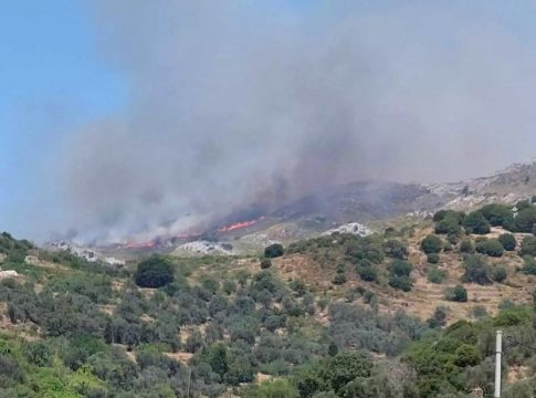 Φωτιά στη Νάξο: Οριοθετήθηκε η πυρκαγιά – Κάηκαν 2.000 στρέμματα