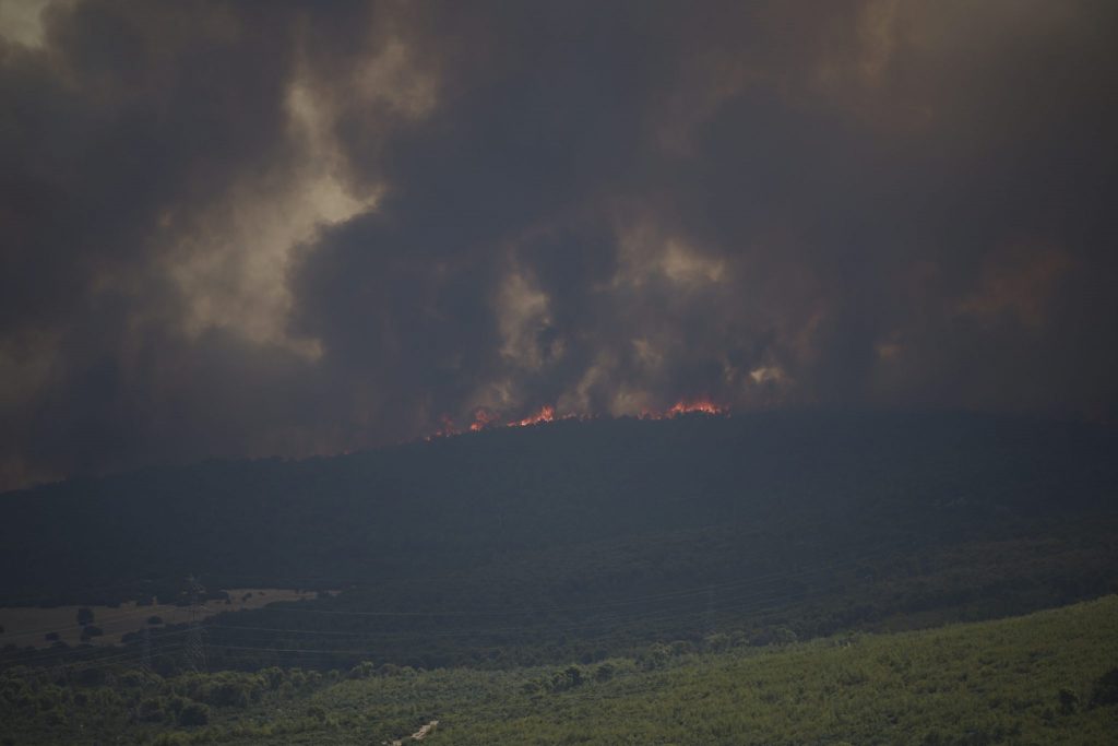 Φωτιές στην Αττική: Πικρία και απογοήτευση στο Twitter – «Φωτιά σημαίνει θάνατος»