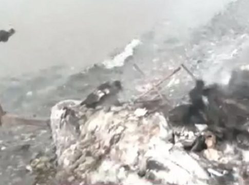 Αλμυρός: Λίγα μέτρα από τη θάλασσα απανθρακώθηκε η άτυχη γυναίκα