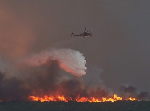 Φωτιά στον Έβρο: Μετανάστες βρέθηκαν απανθρακωμένοι στο δάσος της Δαδιάς – Τουλάχιστον 26 οι νεκροί