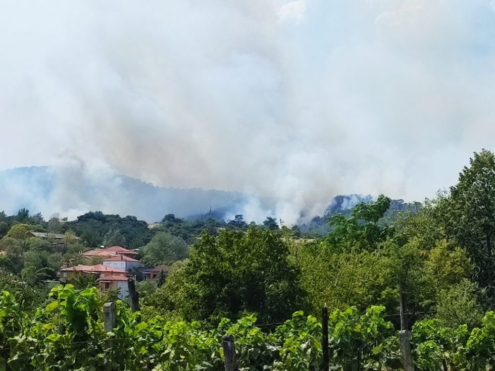 Οδοιπορικό στη Δαδιά που καίγεται για έκτη μέρα: Μεγάλη ελπίδα το άθικτο από τις φλόγες δάσος