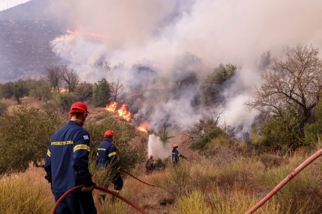 Εμπρησμούς βλέπει η πυροσβεστική πίσω από τις φωτιές – «Έχουμε συλλέξει υλικό και μαρτυρίες»