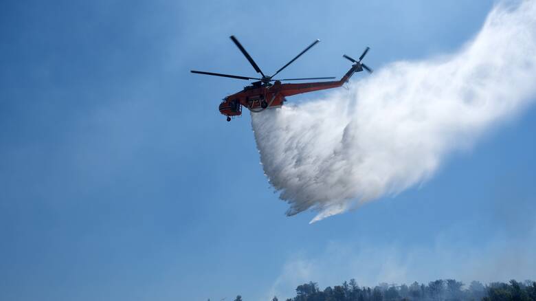 Συναγερμός στην Πυροσβεστική: Φωτιά στο Γραμματικό – Σηκώθηκαν και εναέρια μέσα