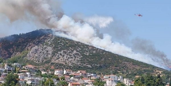 Προφυλακίστηκε ο εμπρηστής του Αυλώνα – Διαταγή για ψυχιατρική πραγματογνωμοσύνη