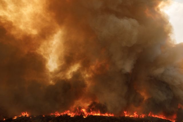 Φωτιά: Ακόμη ένας νεκρός βρέθηκε στο δάσος της Δαδιάς στον Έβρο