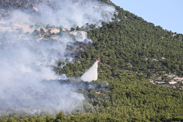 Αγωνία για τις αναζωπυρώσεις στην Πάρνηθα – Στη Δαδιά στον Έβρο το μεγαλύτερο πρόβλημα