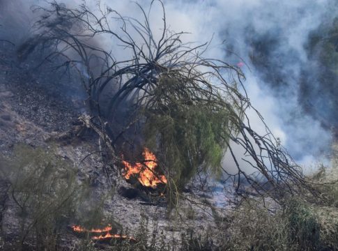 Επιχείρησε να βάλει φωτιά κοντά σε σπίτια στη Λάρισα – Συνελήφθη επ’ αυτοφώρω