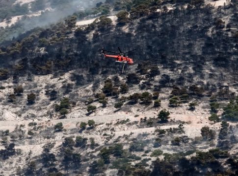 Ο «πνεύμονας» της Αττικής έχασε ακόμα 64.330 στρέμματα δάσους – Αποκαρδιωτικά τα στοιχεία της φωτιάς στην Πάρνηθα