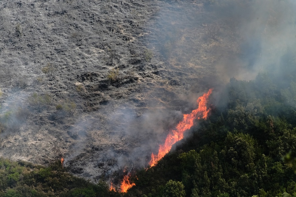 Φωτιά στον Ασπρόπυργο: Μεγάλη κινητοποίηση της Πυροσβεστικής – Σηκώθηκαν εναέρια μέσα