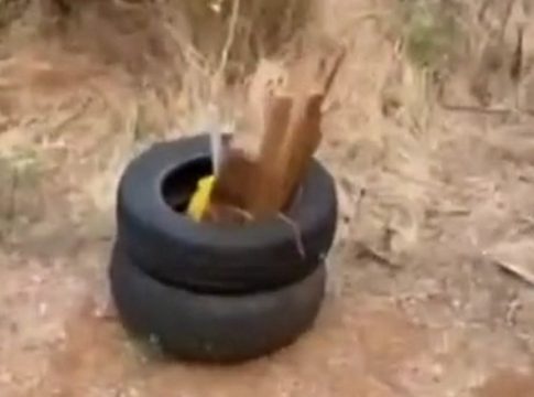 Συγκλονιστικό βίντεο: Πολίτες βρήκαν εμπρηστικό μηχανισμό κοντά σε κατοικημένη περιοχή στην Αλεξανδρούπολη