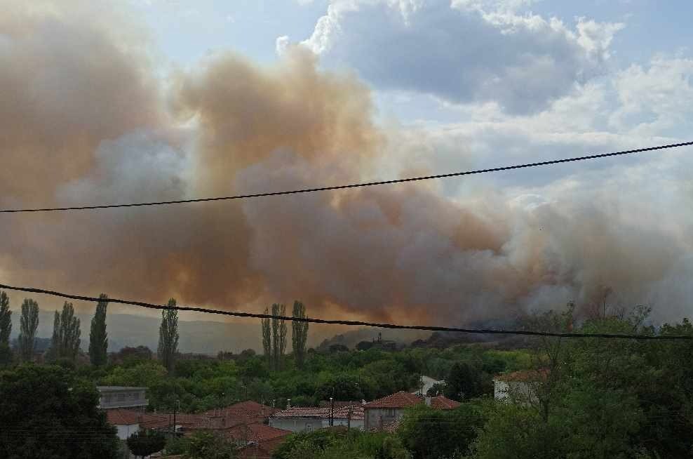 Φωτιά σε δασική έκταση στο Σουφλί