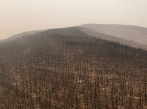 Ασύλληπτη καταστροφή: 935.000 τα καμένα στρέμματα κι ενώ η φωτιά καίει ακόμη στον Έβρο