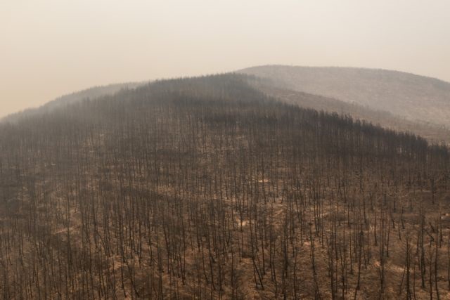 Ασύλληπτη καταστροφή: 935.000 τα καμένα στρέμματα κι ενώ η φωτιά καίει ακόμη στον Έβρο