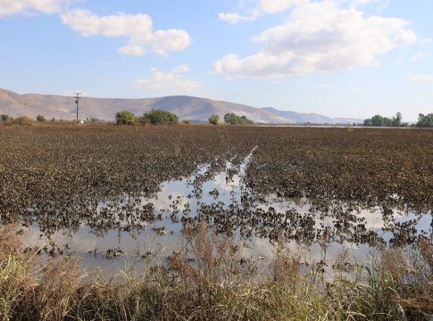 Θεσσαλία: Αλλαγές στην ασφάλεια κατανάλωσης του νερού – Πού κρίνεται κατάλληλο