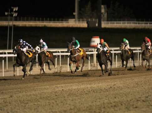 Έξι δυνατές κούρσες και νέα ώρα των ελληνικών ιπποδρομιών στο Markopoulo Park