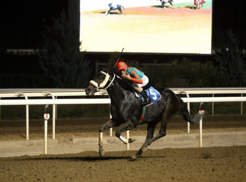 Ο ΝΟΤΥ ΜΟΝΤΥ κατέκτησε εντυπωσιακά το 77ο Ελληνικό Ντέρμπι στο Markopoulo Park