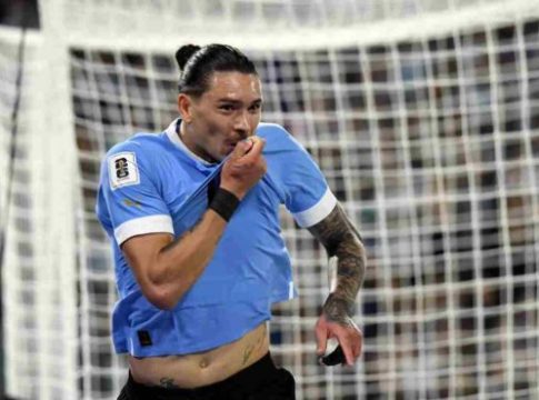 Σε ανοδική πορεία η «σελέστε»