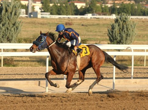 Markopoulo Park: Ένας νικητής στο ΣΚΟΡ 6 κέρδισε 14.320 ευρώ