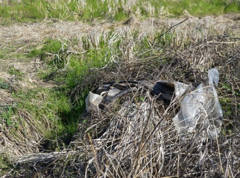 Ο Μπάμπης πυροβολήθηκε μια φορά και από κοντινή απόσταση