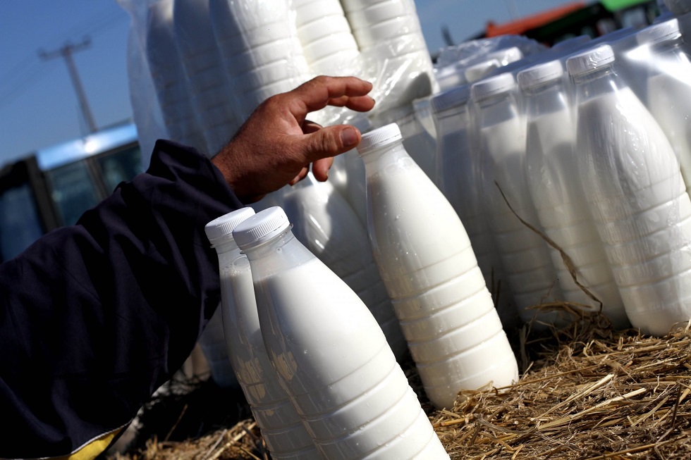 Έριξαν την τιμή στο γάλα οι παραγωγοί αλλά στο ράφι ανέβηκε – Παραμένουν ανεξέλεγκτοι οι μεσάζοντες