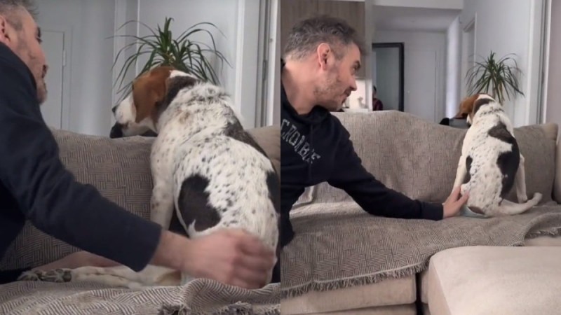 «Ράγισε» καρδιές ο Μιχάλης Χατζηγιάννης: Το συγκινητικό βίντεο του τραγουδιστή με την ανάπηρη σκυλίτσα του (vid)