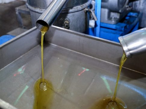 Μεσσήνη: Ανήλικοι ληστές έκλεψαν δύο τόνους λάδι και… ξέχασαν τη βάνα ανοιχτή – Χύθηκαν άλλοι τέσσερις τόνοι